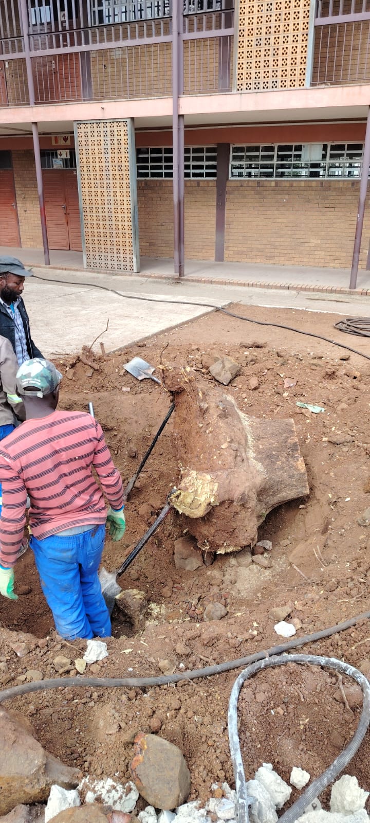 AB Restorations team mid-project on a Gauteng site
